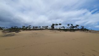 2023-GC--Mapalomas dunas-S123-050.jpg